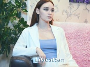 Lilacatten