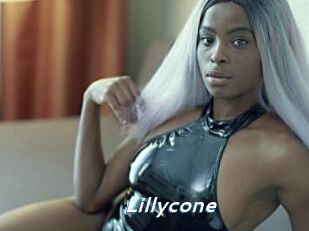 Lillycone