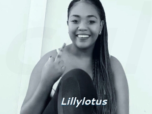 Lillylotus