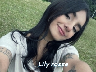 Lily_rosse