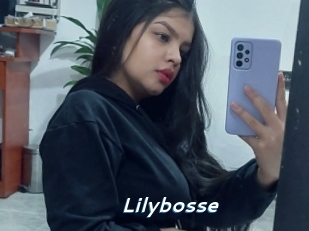 Lilybosse