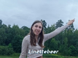 Linettebeer