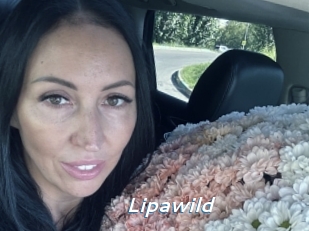 lipawild Camgirls Live