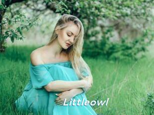 Littleowl