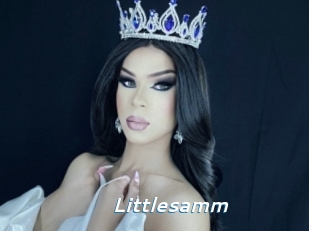 Littlesamm