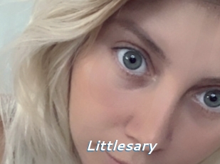 Littlesary