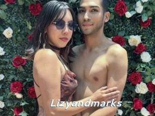 Lizyandmarks