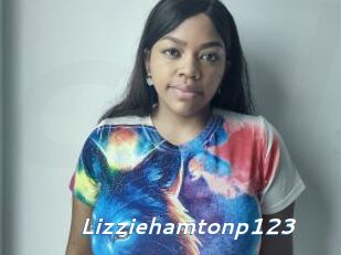 Lizziehamtonp123