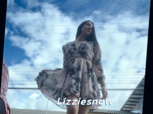Lizziesnow