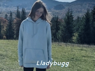 Lladybugg