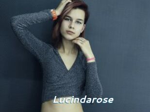 Lucindarose