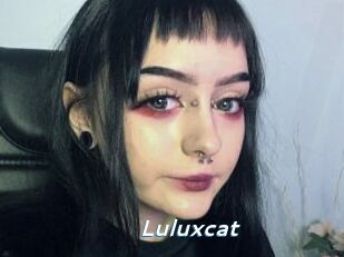 luluxcat Camgirls Live
