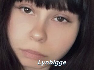 Lynbigge