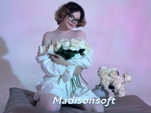 Madisonsoft