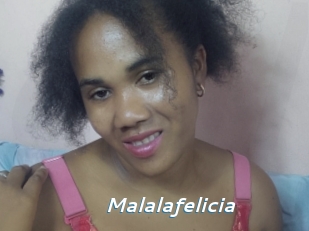 Malalafelicia