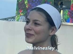 Malvinesley