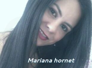 Mariana_hornet