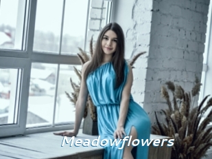 Meadowflowers