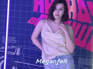 Meganfelt
