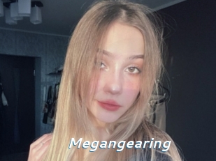 Megangearing