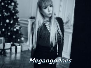 Megangodnes