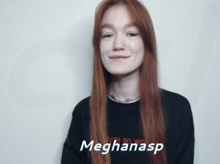 Meghanasp