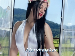 Meryhawker