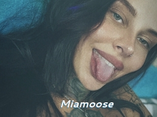 Miamoose