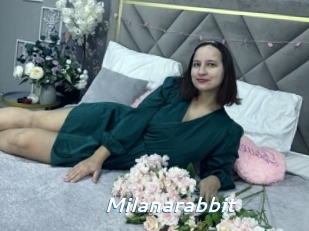 Milanarabbit