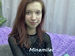 Minamiler