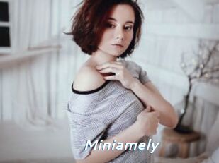 Miniamely