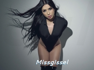 Missgissel