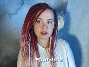 Mollybuls