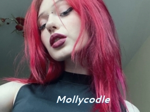 Mollycodle