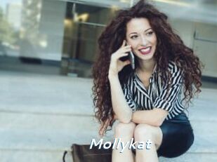 Mollykat