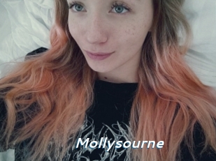 Mollysourne