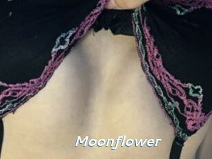 Moonflower