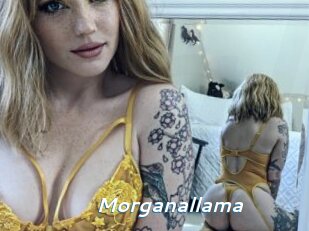 Morganallama
