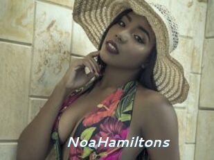 NoaHamiltons
