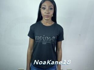 NoaKane18