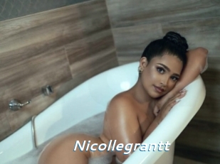 nicollegrantt Camgirls Live