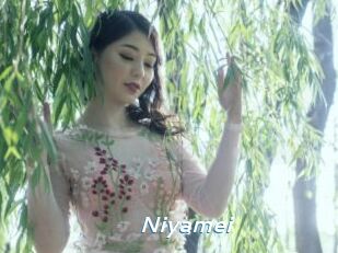 Niyamei
