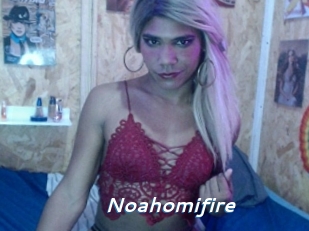 Noahomifire