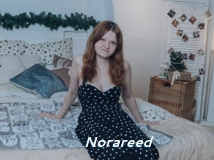 Norareed