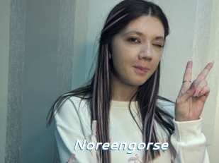 Noreengorse