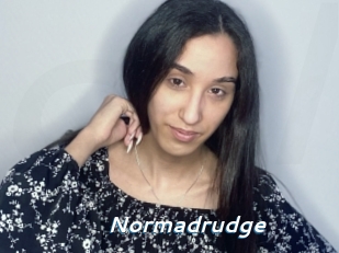 Normadrudge