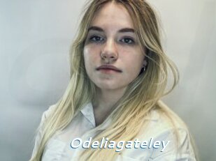 Odeliagateley