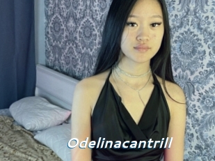 Odelinacantrill