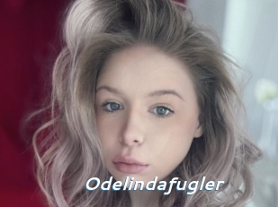 Odelindafugler