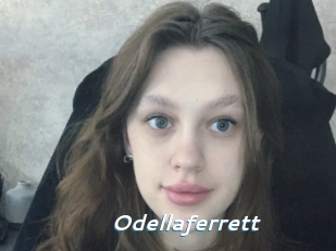 Odellaferrett